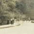 <p>Visitors at the Harvard Arnold Arboretum. Undated photograph provided courtesy of Gregory French.</p><br/>