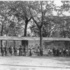 <p>Franklin Park Zoo in Jamaica Plain; view of visitors looking at bear cages.<br />Date Created/Published: <span>c1914.<br /></span>Reproduction Number: <span>LC-USZ62-47481 (b&w film copy neg.)<br /></span>Courtesy of: <span>Library of Congress Prints and Photographs Division Washington, D.C. 20540 US</span></p><br/><ul><br/></ul><br/>
