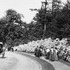 Visitors to the Arnold Arboretum at the turn of the century pass by a display of mountain laurel.