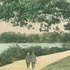 A view along the eastern shore of Jamaica Pond, taken from a postcard published in 1914.